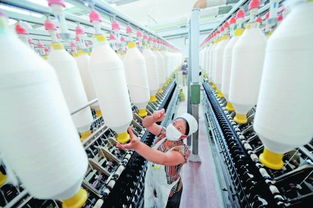 進(jìn)口棉紗價(jià)格比國產(chǎn)棉花便宜 內(nèi)外有別 傷及紡織業(yè)