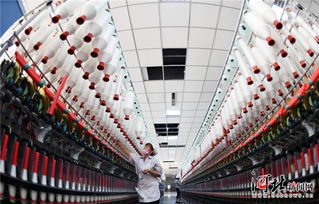 南宮 科技創(chuàng)新促紡織業(yè)升級